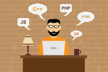 Software Developer Concept vector image