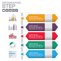 timeline infographic chart with many color design vector image
