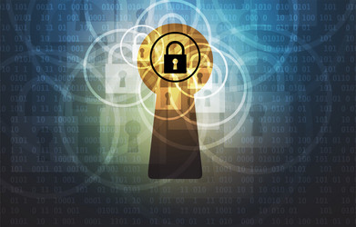 cybersecurity and information or network vector image