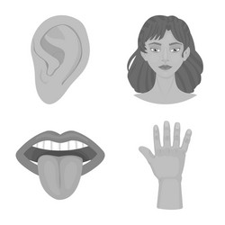design body and part sign collection vector image