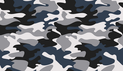 Abstract camouflage seamless pattern camo Vector Image