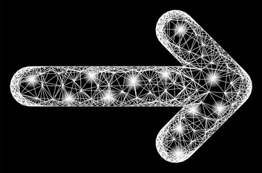 hatched move right web mesh with bright lightspots vector image