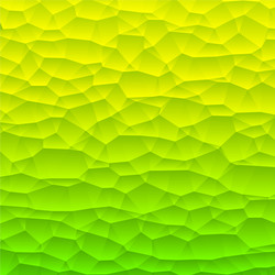polygonal abstract background vector image