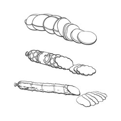 sketch different sausage type set isolated vector image