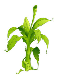 Banana Tree Cartoon Vector Images (over 1,800) Banana Tree Cartoon Vector Images (over 1,800)
