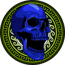 colored draw of human skull Vector Image