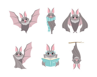 funny gray bat with cute snout flying reading vector