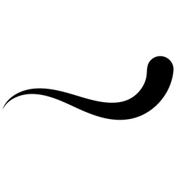 curved curve calligraphy line curl vector image