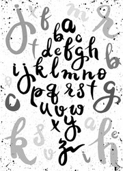 handwritten brush script letters isolated vector