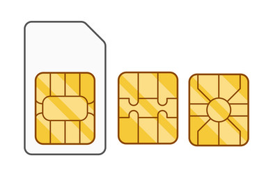set of three types sim card designs each vector image