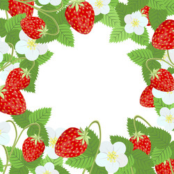 Fruit frame Royalty Free Vector Image - VectorStock
