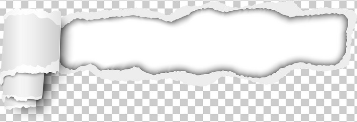 Torn Paper Edge with Checkered Pattern vector