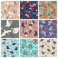 Set of patterns with various birds graphics vector