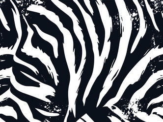 zebra print pattern texture jungle vector image