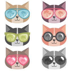 Cats with colorful sunglasses isolated on white vector