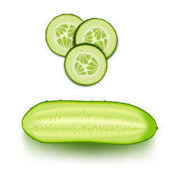 lengthwise and across sliced cucumber top view vector image
