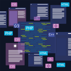 web development codes vector image