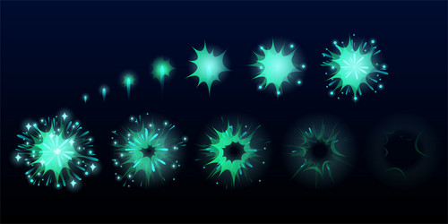 Exploding Fireworks Animation vector image