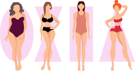 Male and female body types Royalty Free Vector Image