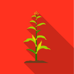 Corn icon outline single plant from the big Vector Image