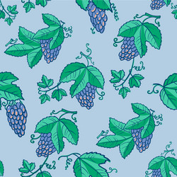 Seamless pattern with grape and leaves vector