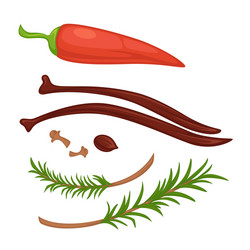 Natural ingredients for special broth isolated vector