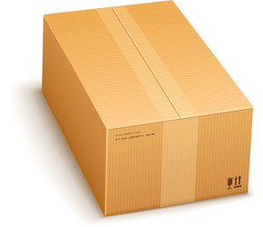 Closed Cardboard Box Vector Image