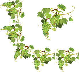 Set of grapes frame vignette and repeated element vector