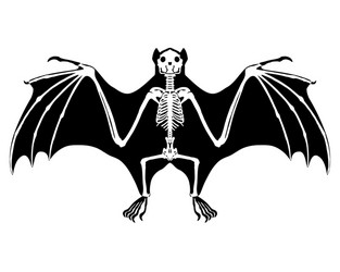 Set bat wings in color flat style Royalty Free Vector Image