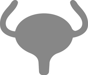 Human urinary bladder gray icon healthy organ vector