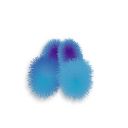 house slipper Vector Image