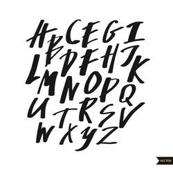 alphabet letters calligraphic script vector image
