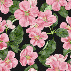 seamless pattern with apple blossoms Vector Image