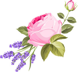 Purple Rose and Lavender Garland Vector Image