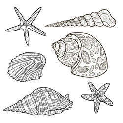 Seashells shell pattern set coloring book vector