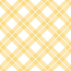 check print and lines seamless pattern vector image