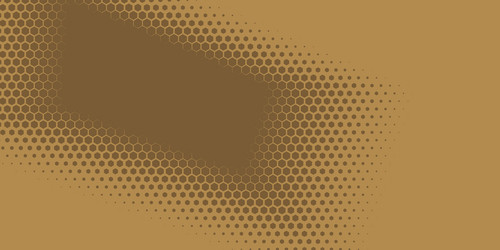 Geometric abstract hexagon two color background vector