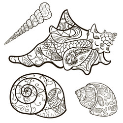 seashells shell pattern set coloring book vector image