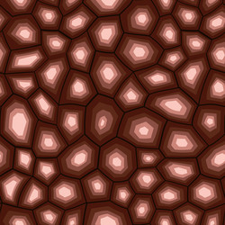 abstract modern turtle shell seamless pattern vector image