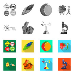 isolated object of test and synthetic icon vector image