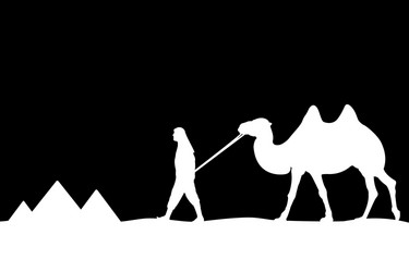 Man with camel of the pyramids vector