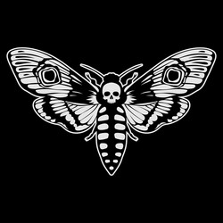 deaths head hawk moth acherontia atropos vector