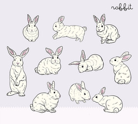 Rabbit Vector Images (over 180,000)
