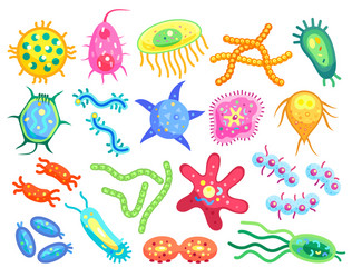 Colorful Bacteria Variety vector image