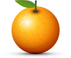 Realistic orange fruit 3d isolated Royalty Free Vector Image