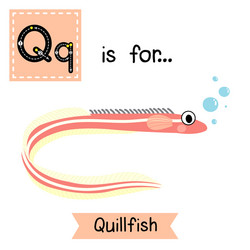 Letter Q Flash Card Vector Images (90)