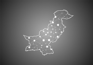 Wireframe mesh polygonal pakistan map abstract vector