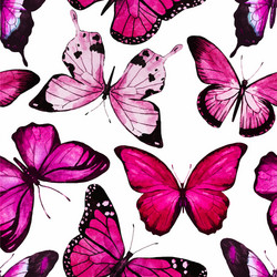 Watercolor Butterfly Pattern Vector Image