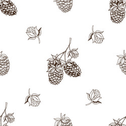 Graphic seamless pattern with raspberry vector