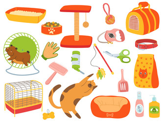 Pets accessories domestic animals care tools vector